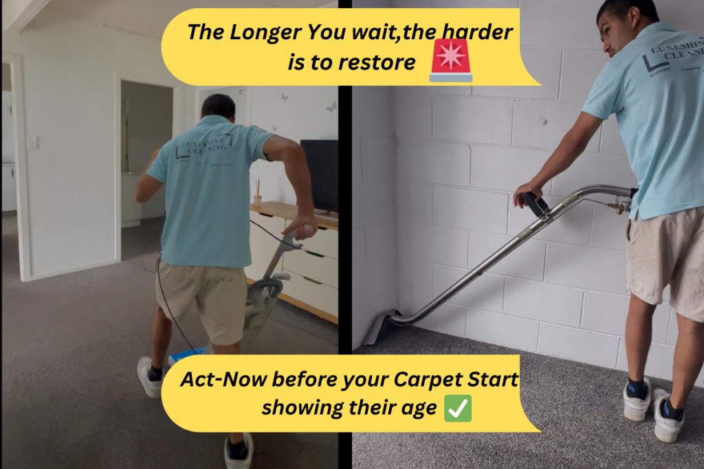 Best carpet cleaning in taupo,Carpet Cleaning Taupo , best carpet cleaning services in taupo