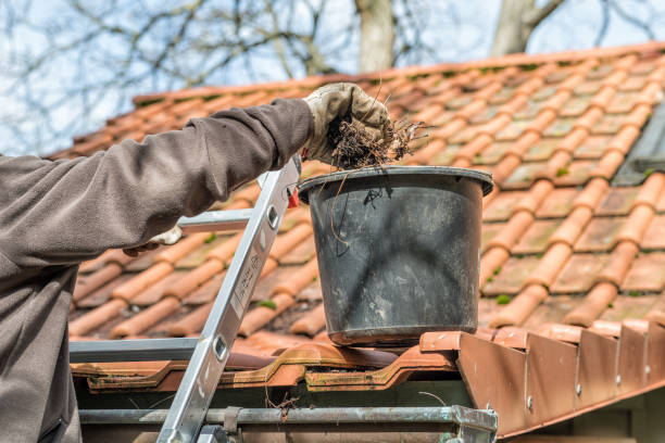 Best gutter cleaning in taupo, gutter cleaning in taupo