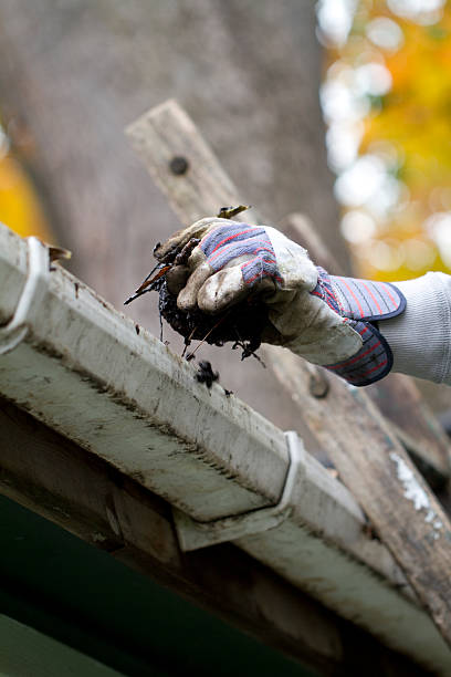 Best gutter cleaning in taupo, gutter cleaning in taupo