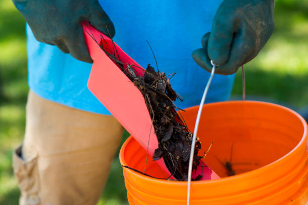 Best gutter cleaning in taupo, gutter cleaning in taupo