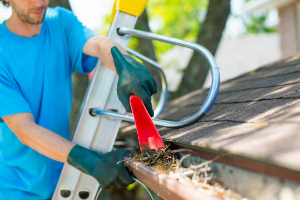Best gutter cleaning in taupo, gutter cleaning in taupo