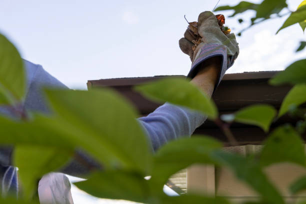 Best gutter cleaning in taupo, gutter cleaning in taupo