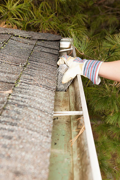 Best gutter cleaning in taupo, gutter cleaning in taupo