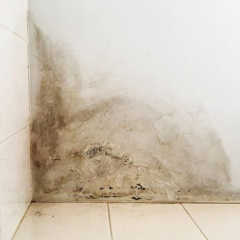 Water damage restoration in taupo, Best water damage restoration in taupo