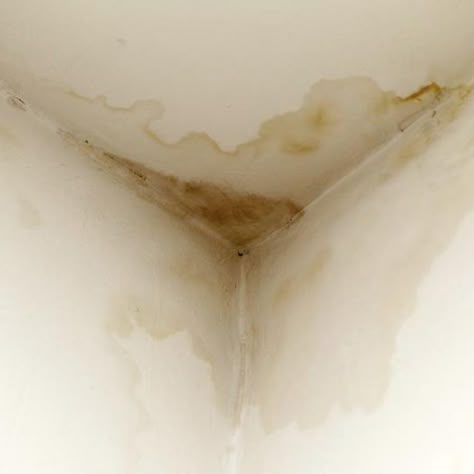 Water damage restoration in taupo, Best water damage restoration in taupo
