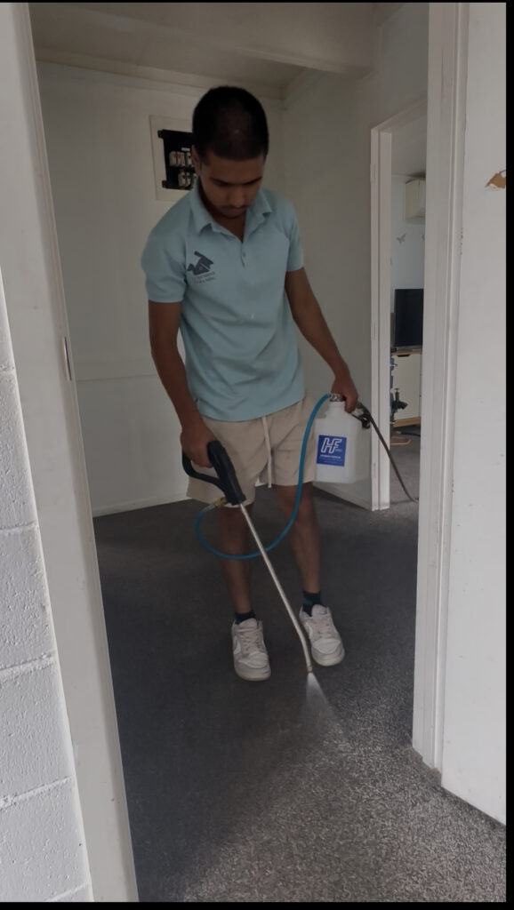 local carpet cleaners in taupo, Best local carpet cleaners in taupo