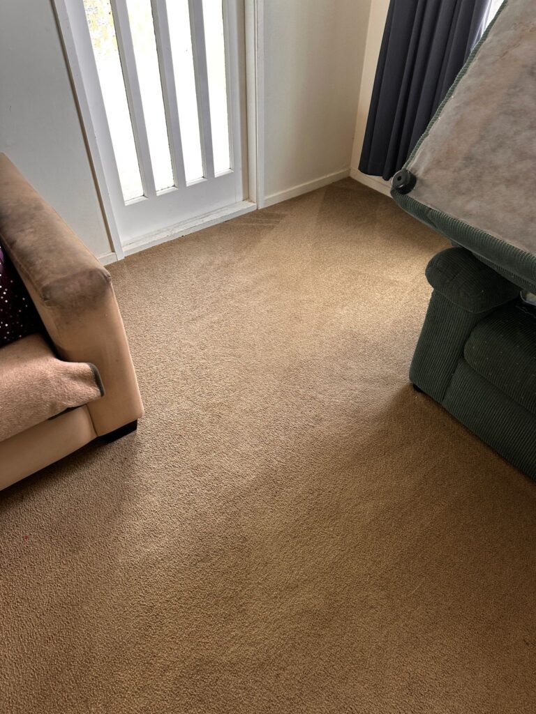 Residential Carpet Cleaning, Best Residential Carpet Cleaning in taupo, Carpet Cleaning, Carpet Steam Clening, Carpet Cleaner in taupo, Carpet steam Cleaner in taupo, Carpet Cleaner