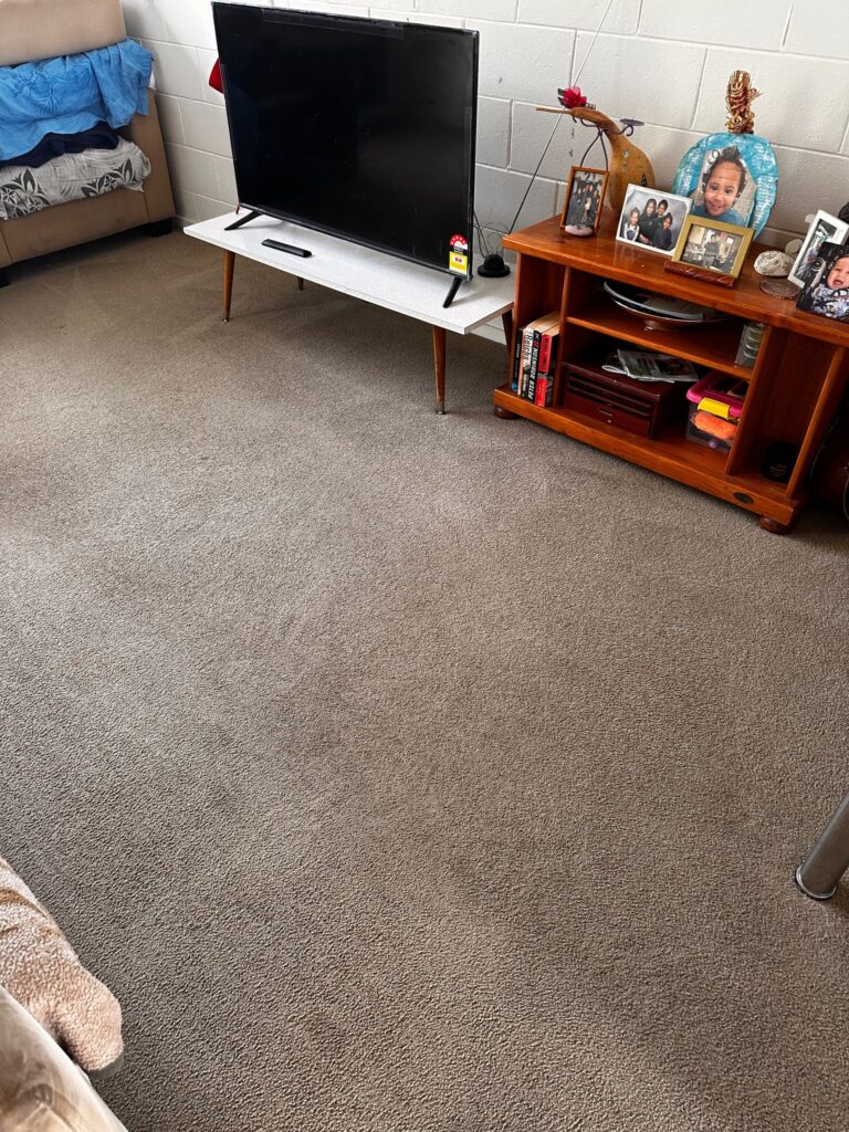 Residential Carpet Cleaning, Best Residential Carpet Cleaning in taupo, Carpet Cleaning, Carpet Steam Clening, Carpet Cleaner in taupo, Carpet steam Cleaner in taupo, Carpet Cleaner