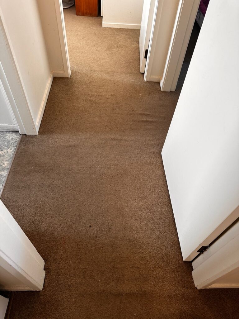 Commercial Carpet Cleaning, Best Commercial Carpet Cleaning, Commercial Carpet Cleaner, Best Commercial Carpet Cleaner, Commercial Carpet Cleaning in taupo, Commercial Carpet Cleaner in taupo, carpet cleaner , Carpet cleaning in taupo , steam carpet Cleaner , steam carpet Cleaning