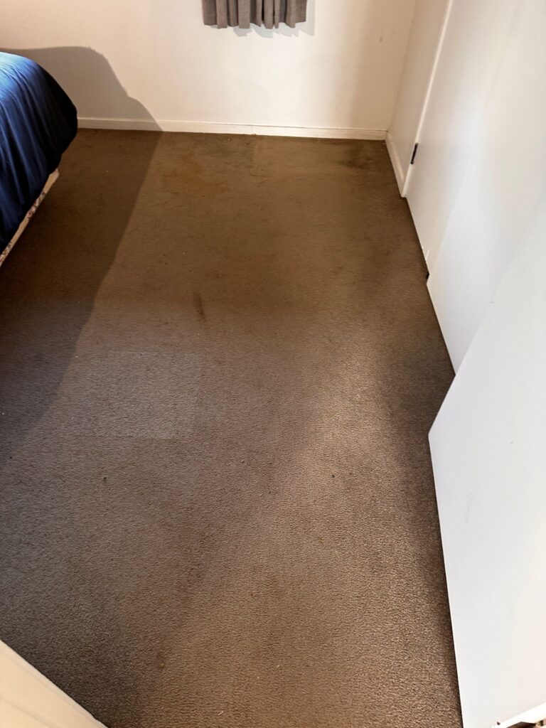 Commercial Carpet Cleaning, Best Commercial Carpet Cleaning, Commercial Carpet Cleaner, Best Commercial Carpet Cleaner, Commercial Carpet Cleaning in taupo, Commercial Carpet Cleaner in taupo, carpet cleaner , Carpet cleaning in taupo , steam carpet Cleaner , steam carpet Cleaning