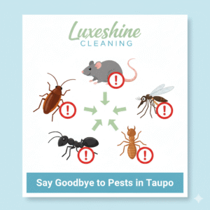 Pest Control , Pest Control in taupo,  Best Pest Control in taupo, pest control service, Professional pest control service, Professional pest control service in taupo
