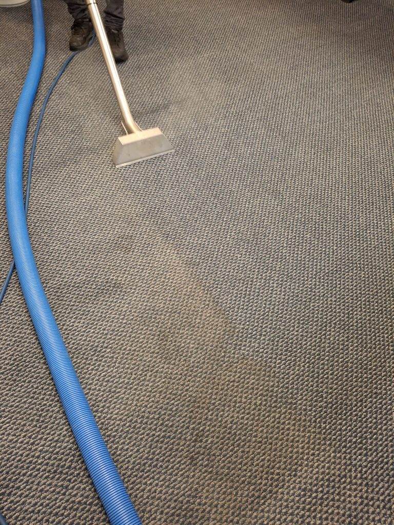 House Cleaning Services Hamilton, House Cleaner Hamilton , House Cleaner in Hamilton, House Cleaning Services in Hamilton , House Cleaning Services

