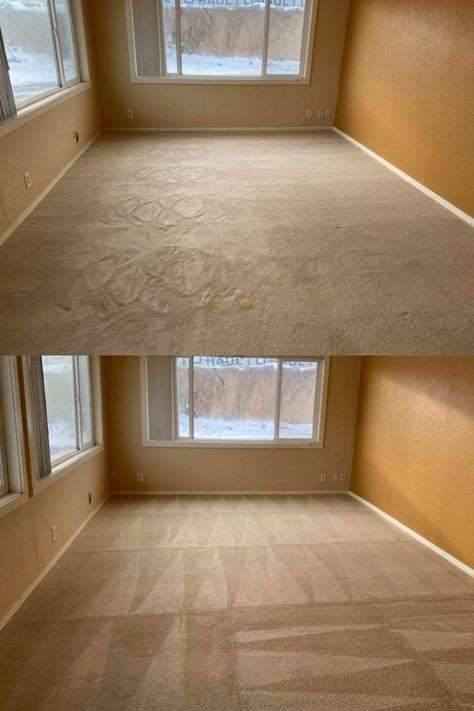 carpet stain remover, Carpet Stain removal hamilton, Best carpet stain remover Hamilton , Hamilton carpet stain removal service,how to remove stains from carpet 