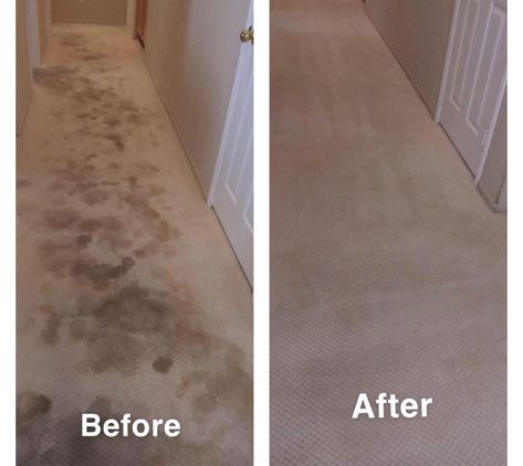 carpet cleaning services hamilton, carpet cleaning, carpet cleaning in hamilton, carpet cleaner in hamilton