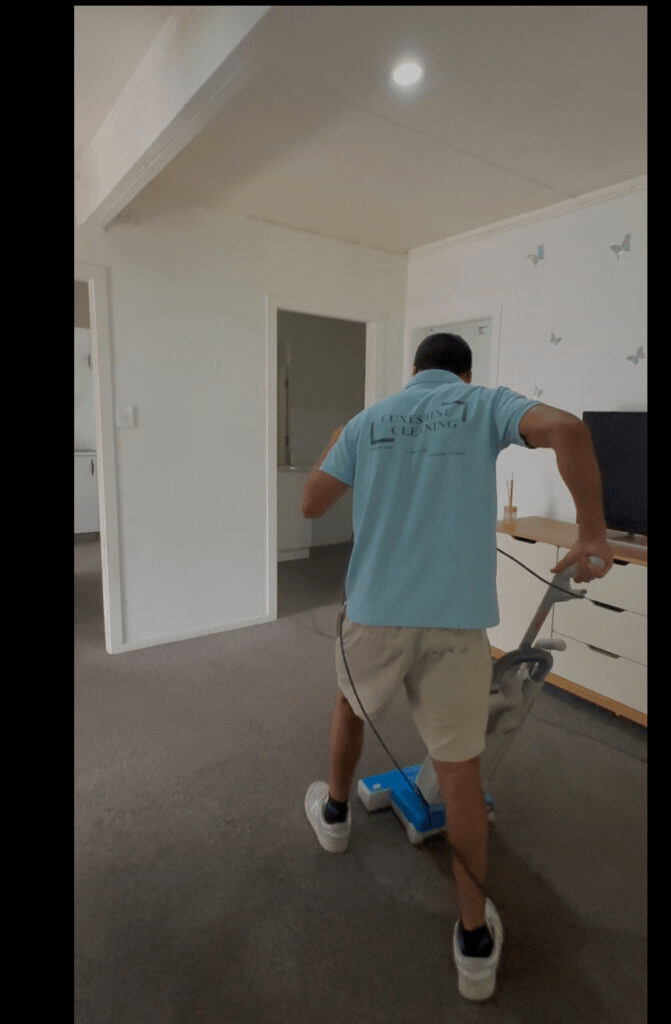 Best Rug Cleaning Taupo,rug cleaner taupo, Professional rug cleaning taupo, Carpet cleaning price , urine and odor removal , rug cleaning price