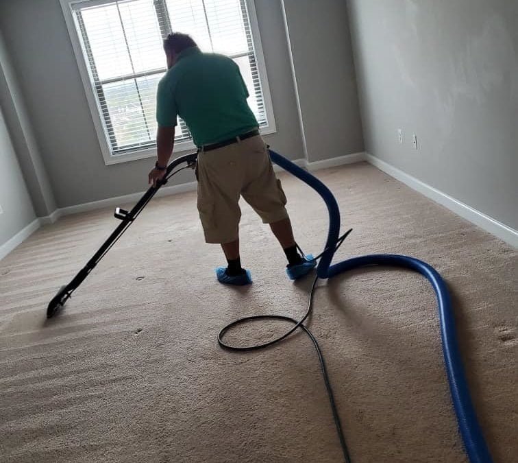 steam carpet cleaning