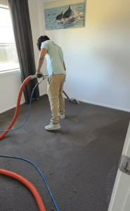 Carpet Cleaning Services in Hamilton , hamilton carpet Claening, carpet cleaners hamilton, Hamilton carpet cleaners, Hamilton carpet cleaning services