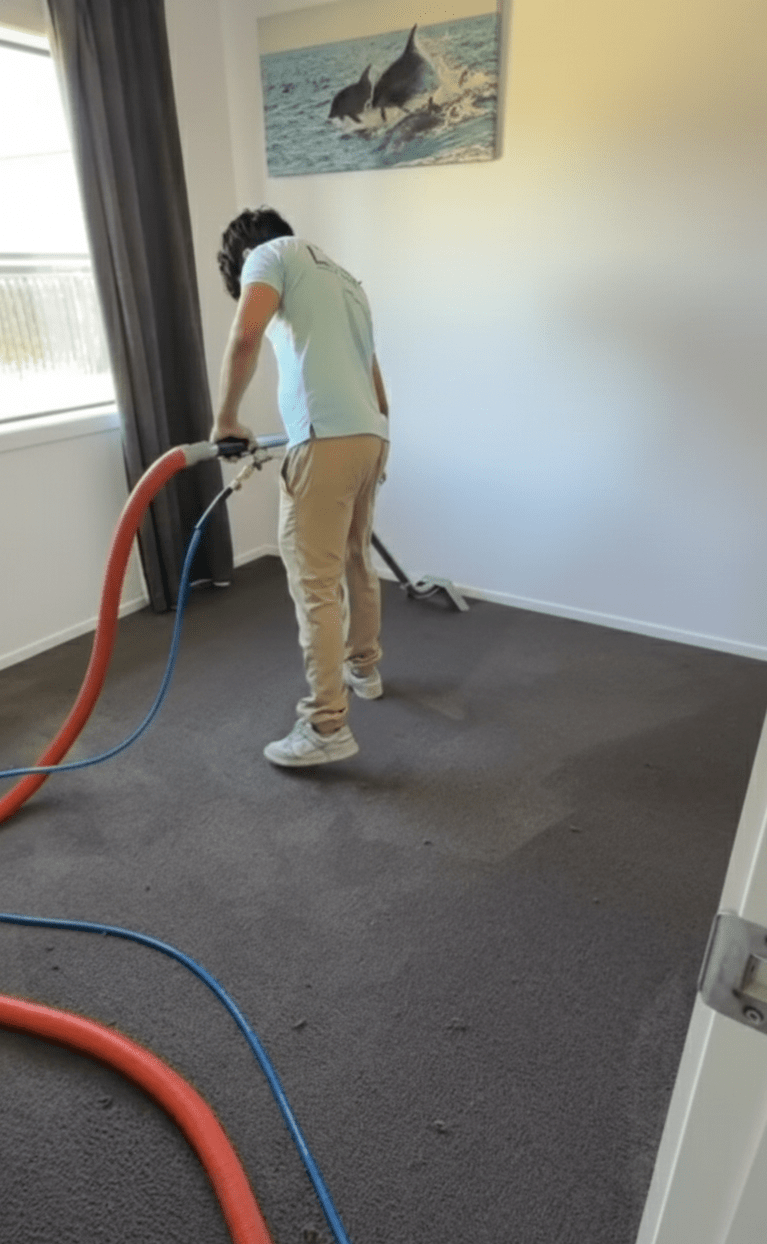 Hamilton Commercial Carpet Cleaning, Commercial Carpet Cleaning, Hamilton Carpet Cleaners