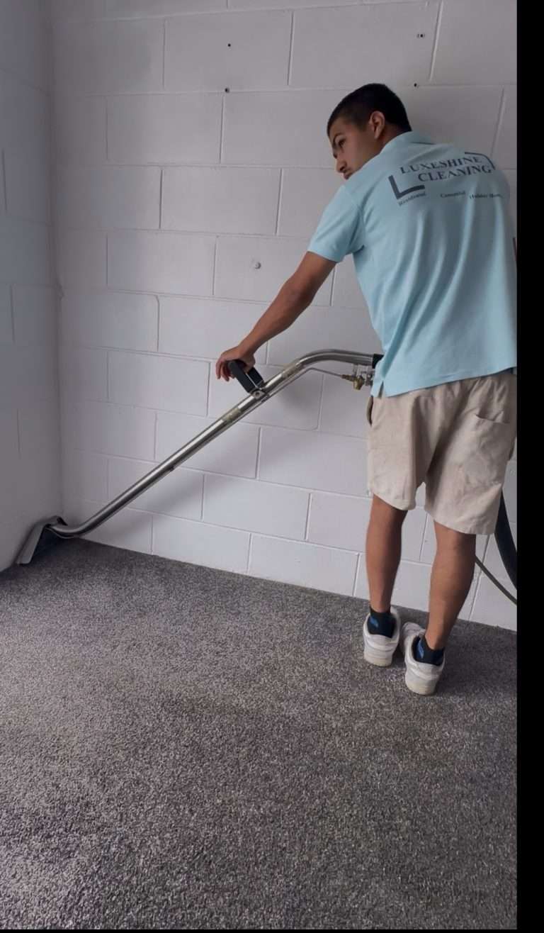 Household Cleaning in Hamilton | Luxeshine Cleaning Household Cleaning, Household Cleaning in Hamilton