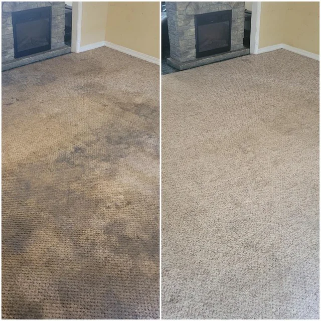Hamilton Commercial Carpet Cleaning, Commercial Carpet Cleaning, Hamilton Carpet Cleaners
