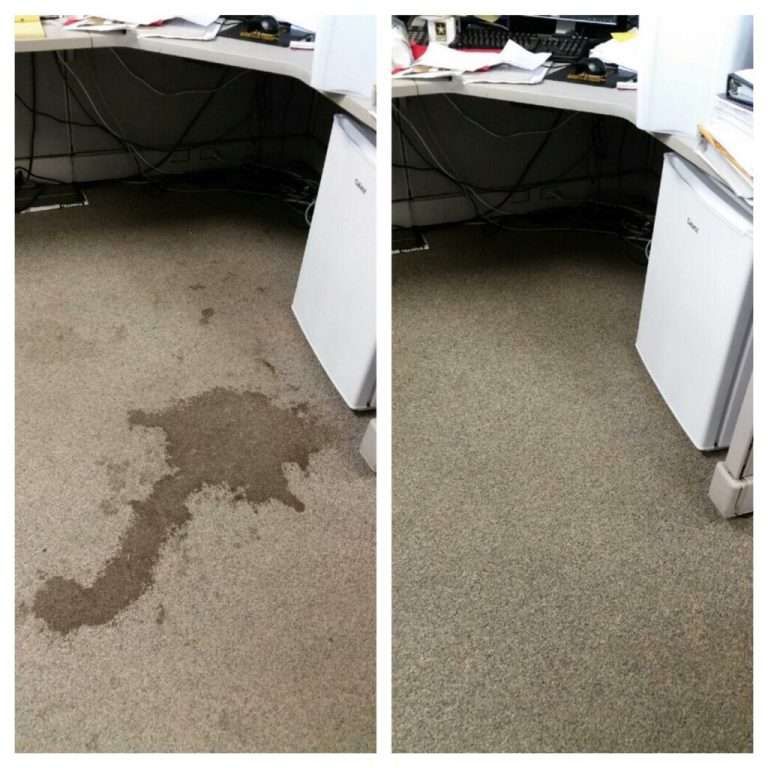 Pet Urine & Odour Removal Hamilton, Hamilton pet stains treatment ,Hamilton Pet Urine & Odour Remover, hamilton Odour removal